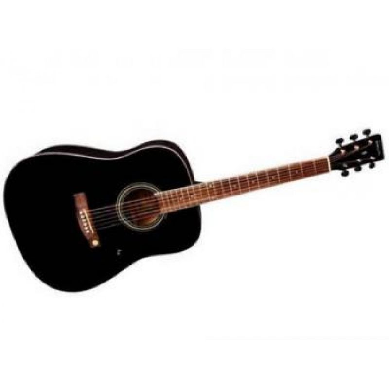 Акустическая гитара Tenson D10 (BK)